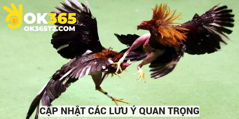 Hiểu rõ vấn đề cần lưu tâm khi cược đá gà