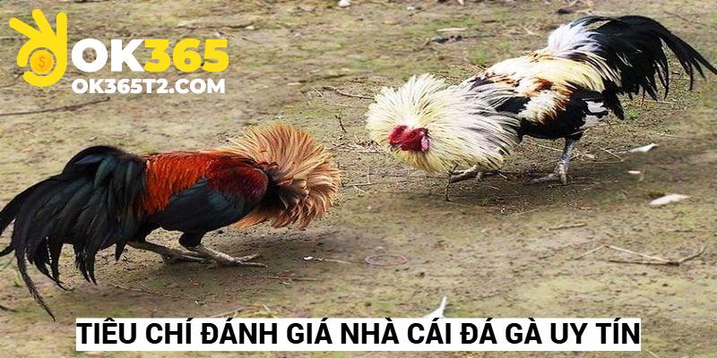 Nhà cái đá gà uy tín với tiêu chí đánh giá chung